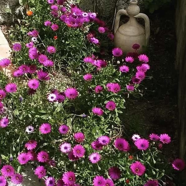 瓦拉泽Ai Tre Limoni住宿加早餐旅馆 外观 照片