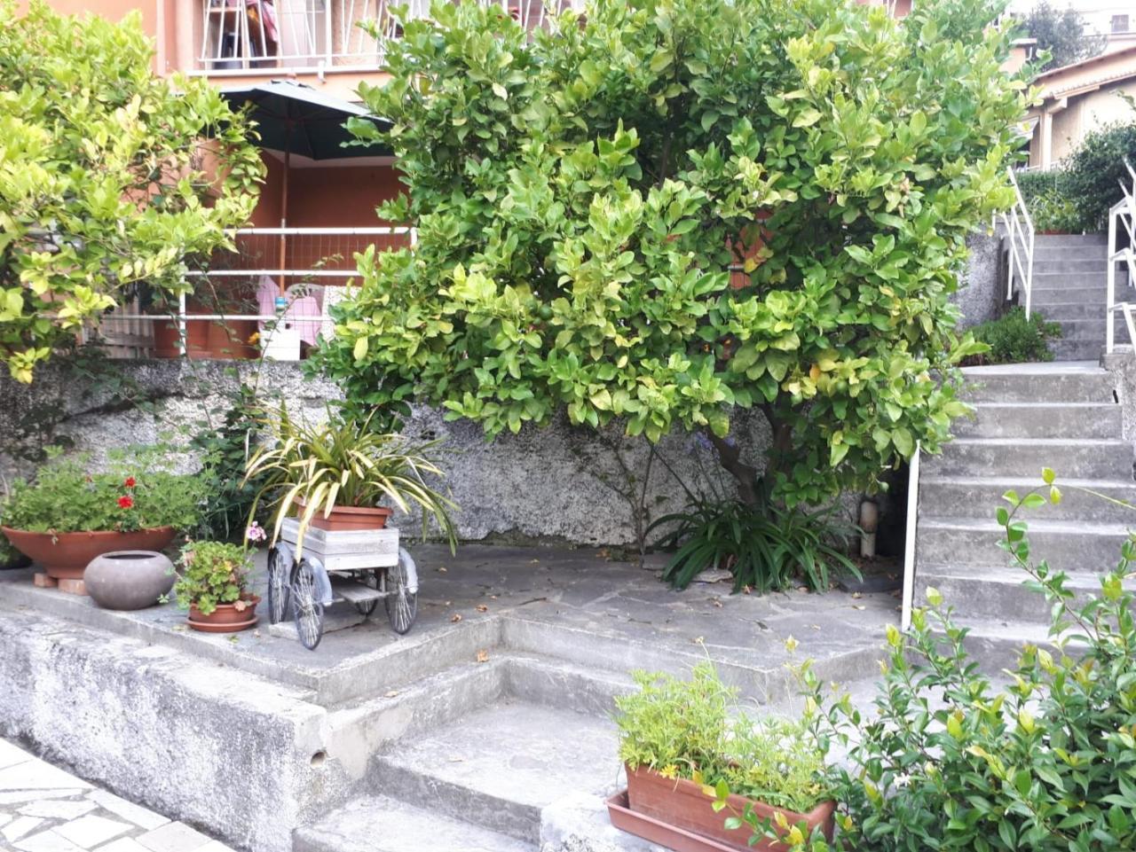 瓦拉泽Ai Tre Limoni住宿加早餐旅馆 外观 照片